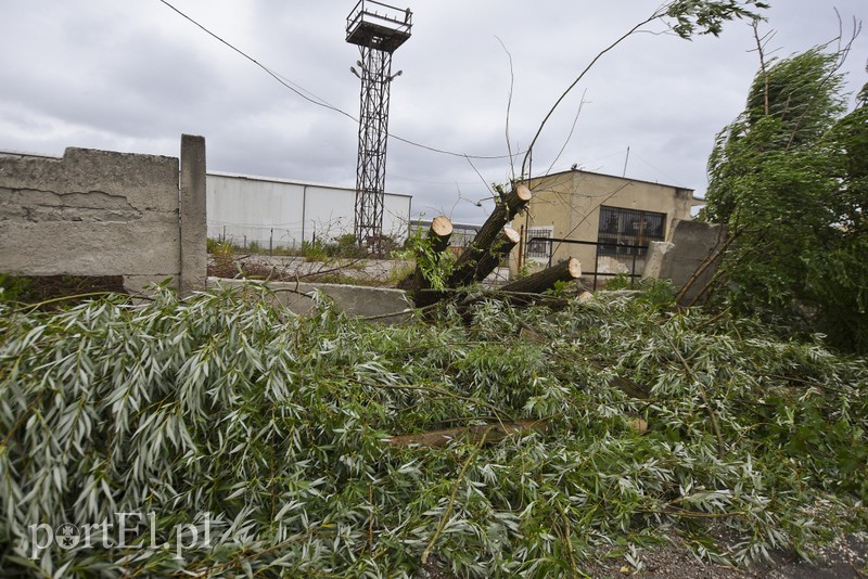Uwaga, burza! zdjęcie nr 178633
