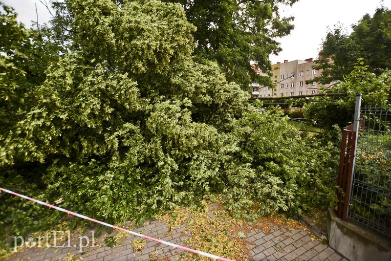 Uwaga, burza! zdjęcie nr 178650