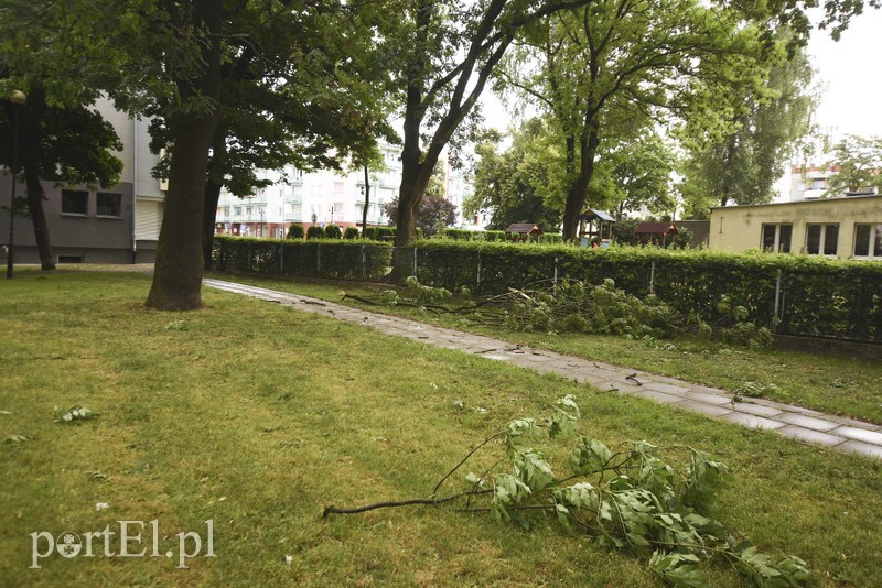 Uwaga, burza! zdjęcie nr 178646