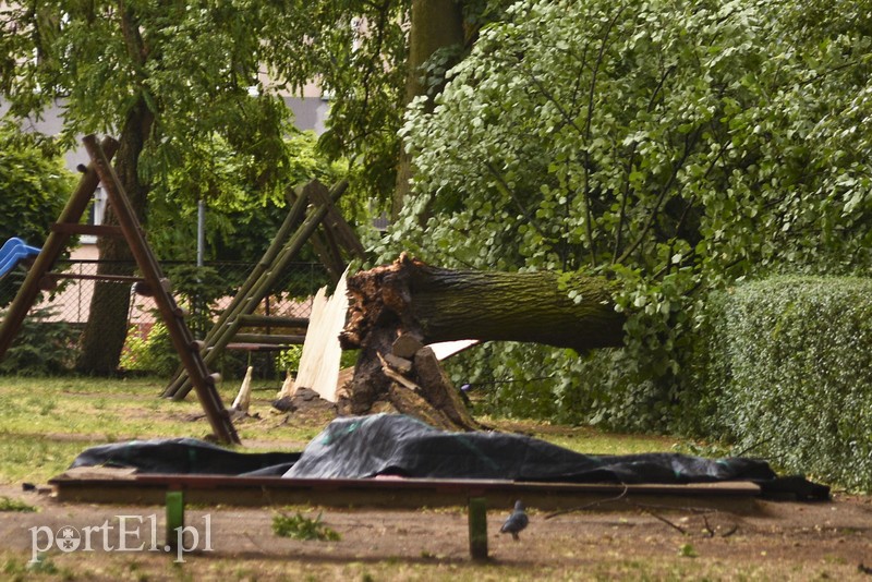 Uwaga, burza! zdjęcie nr 178648