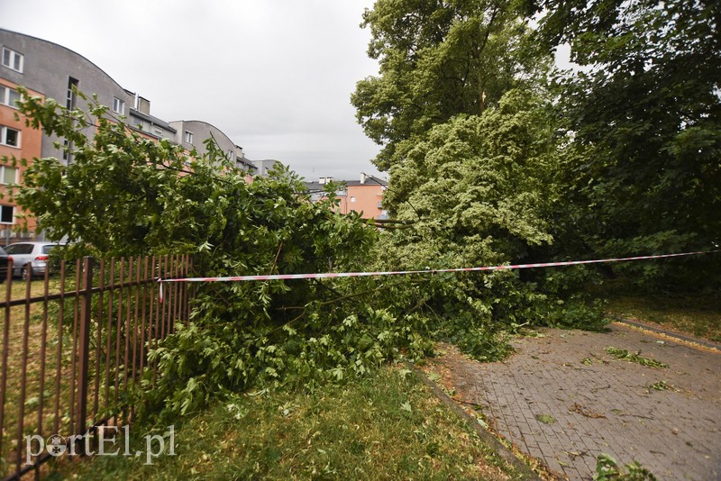 Uwaga, burza! zdjęcie nr 178651