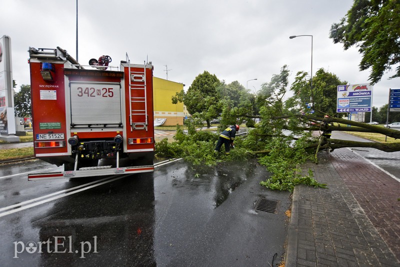 Uwaga, burza! zdjęcie nr 178642