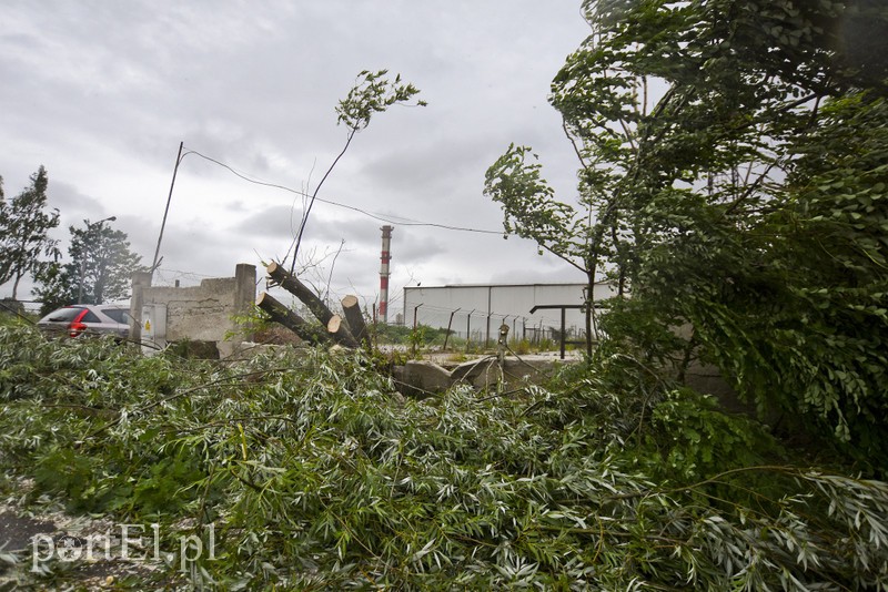 Uwaga, burza! zdjęcie nr 178635