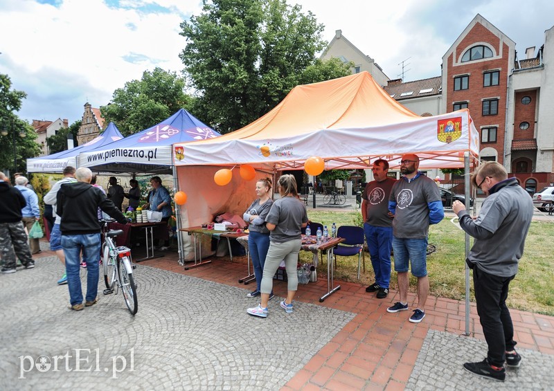 Przez Kopernika chwycili za miecze zdjęcie nr 178753
