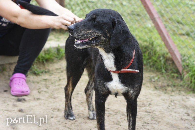 Galeria pod psem i kotem (Odc.7) zdjęcie nr 178802