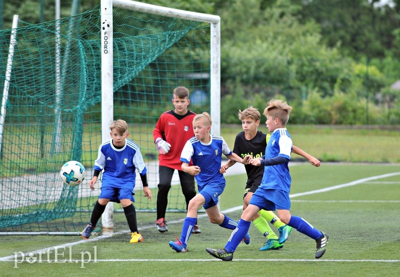 Mundial po elbląsku zdjęcie nr 179294