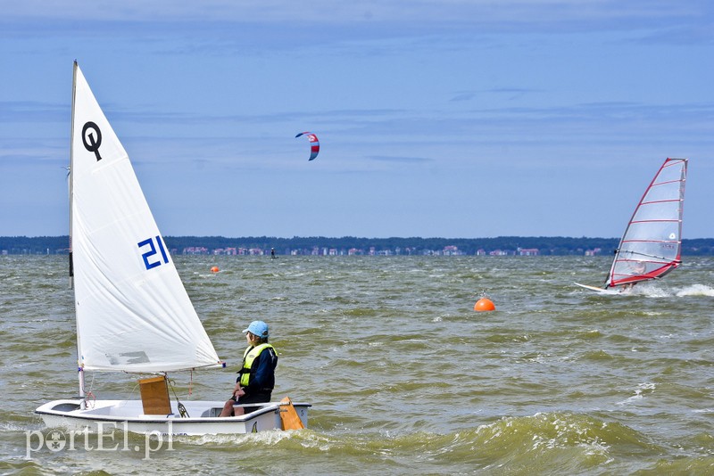 Lek na raka krwi nosimy w sobie zdjęcie nr 180377