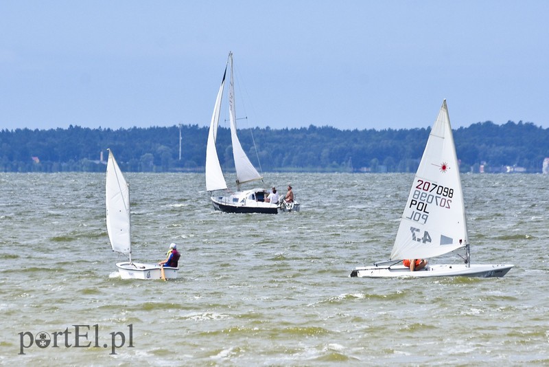 Lek na raka krwi nosimy w sobie zdjęcie nr 180386