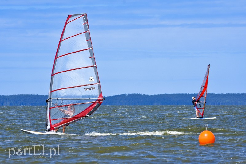 Lek na raka krwi nosimy w sobie zdjęcie nr 180366