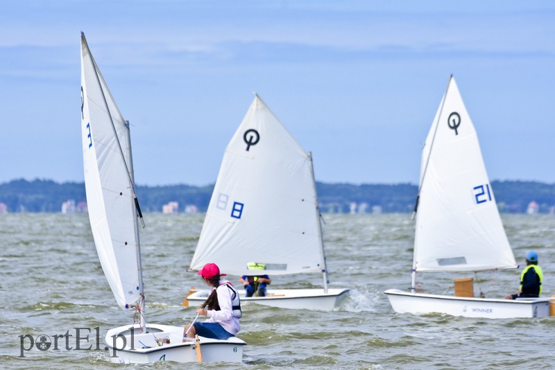 Lek na raka krwi nosimy w sobie zdjęcie nr 180382