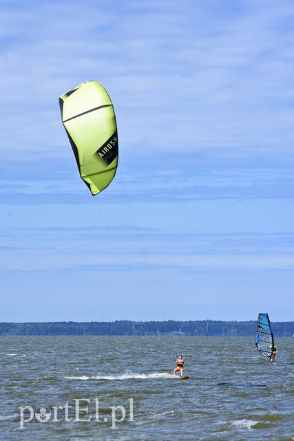 Lek na raka krwi nosimy w sobie zdjęcie nr 180362