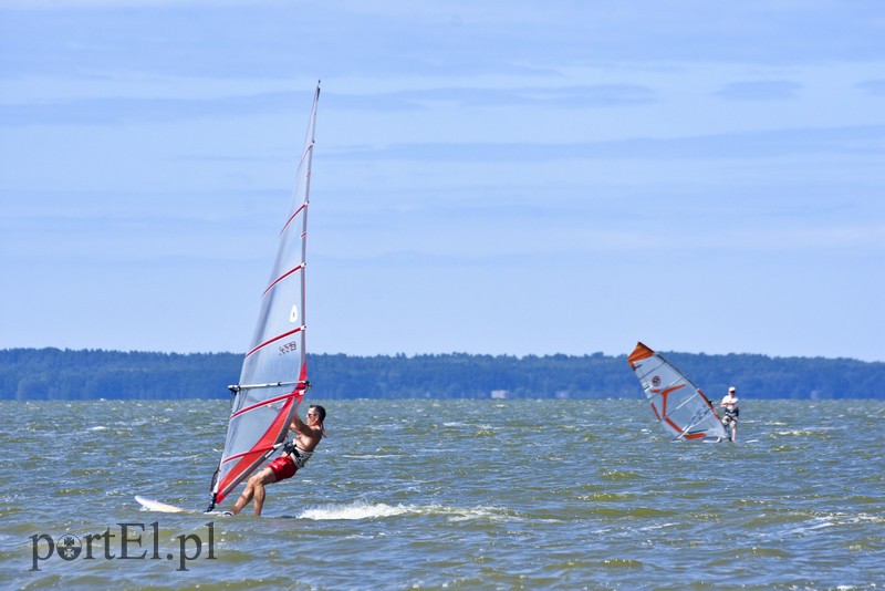 Lek na raka krwi nosimy w sobie zdjęcie nr 180356