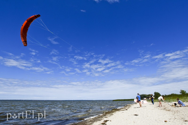 Lek na raka krwi nosimy w sobie zdjęcie nr 180350