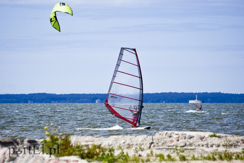 Lek na raka krwi nosimy w sobie zdjęcie nr 180361