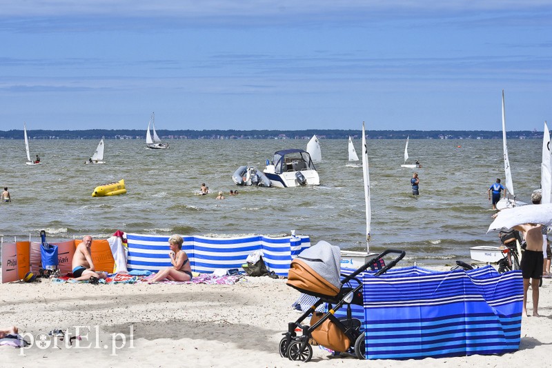 Lek na raka krwi nosimy w sobie zdjęcie nr 180385
