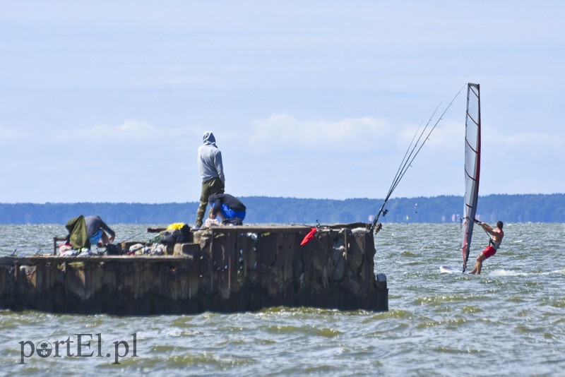 Lek na raka krwi nosimy w sobie zdjęcie nr 180359
