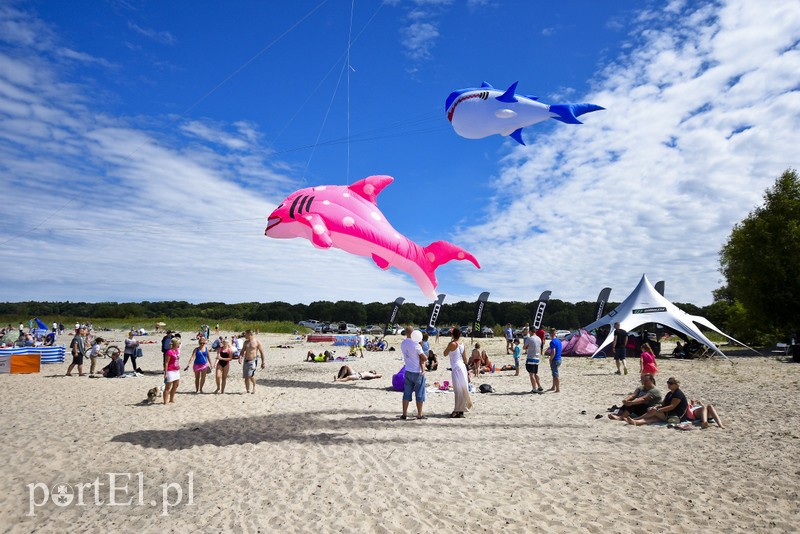 Lek na raka krwi nosimy w sobie zdjęcie nr 180347