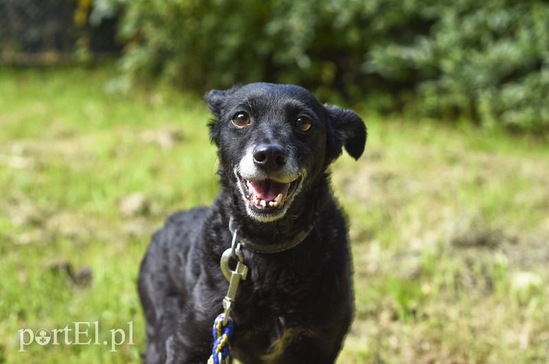 Galeria pod psem i kotem (Odc.11) zdjęcie nr 181038