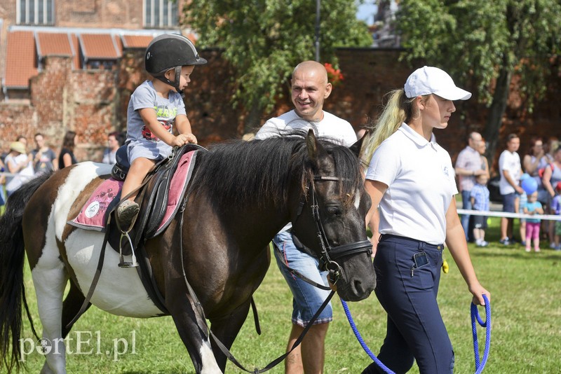 Mundurowi na luzie zdjęcie nr 181159