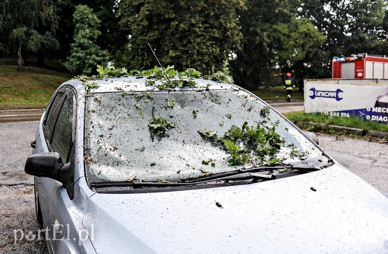 Drzewo runęło na samochód zdjęcie nr 181458