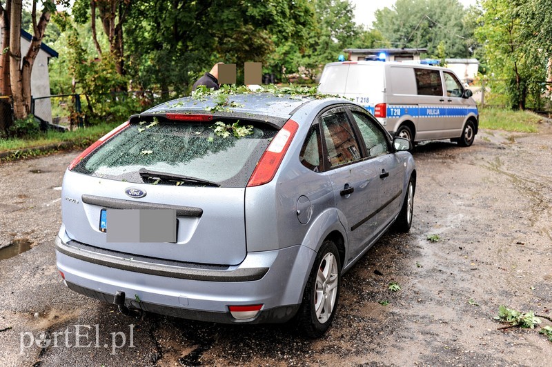 Drzewo runęło na samochód zdjęcie nr 181459