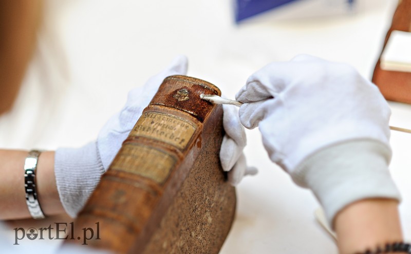 Konserwacja zdjęcie nr 181800