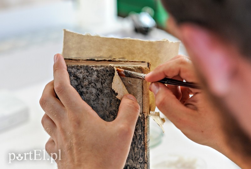 Konserwacja zdjęcie nr 181803