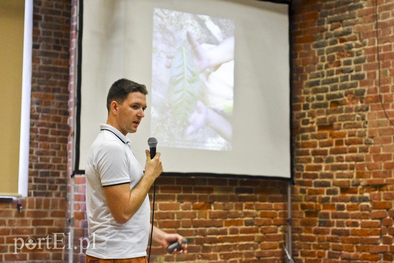 Tajemnice herbacianego krzewu zdjęcie nr 182124