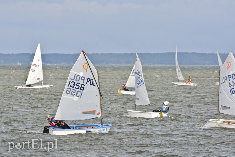 Woda to ich żywioł, teraz są na fali zdjęcie nr 182529