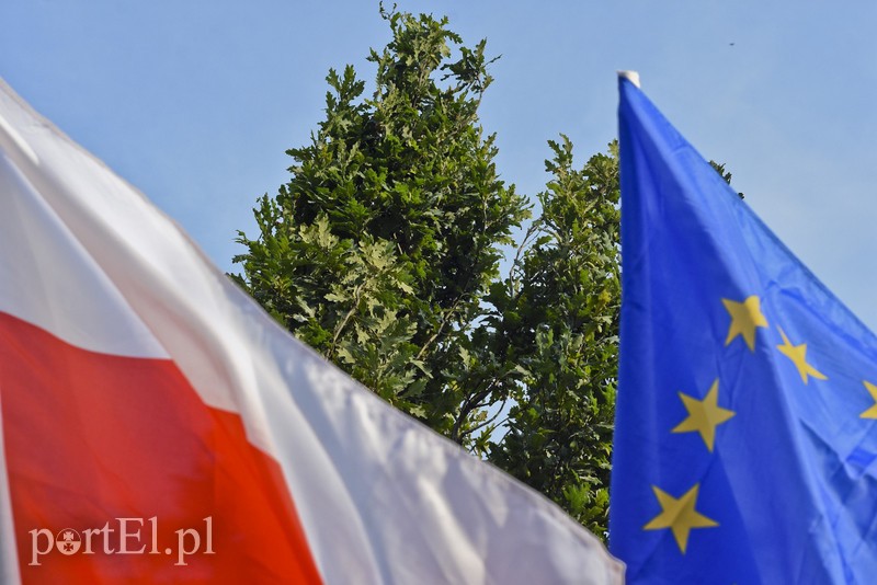 Jedyny taki dąb w Polsce ma nową tablicę zdjęcie nr 182635