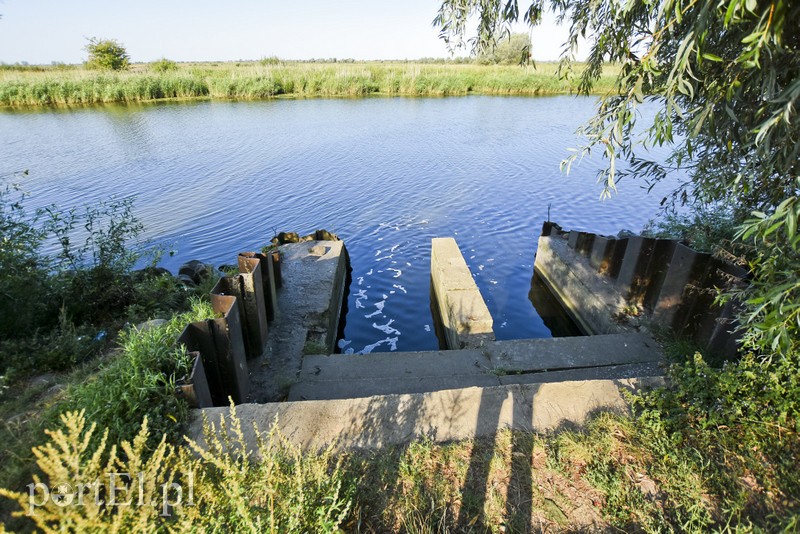 Ciało mężczyzny w rzece Elbląg zdjęcie nr 182755