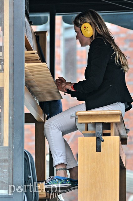 Dzwony, dzwonki i dzwoneczk zdjęcie nr 182862