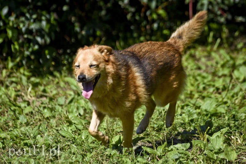 Galeria pod psem i kotem (Odc.18) zdjęcie nr 183956