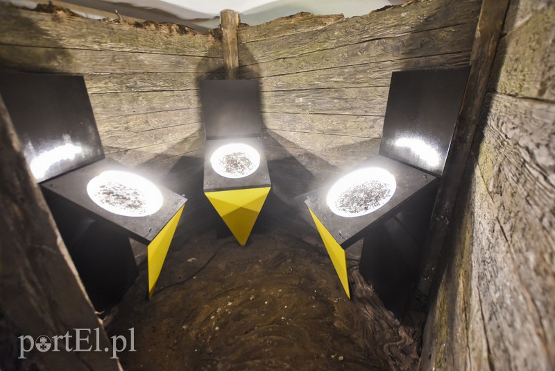 Z pokoju zagadek wprost na Żuławy zdjęcie nr 184278