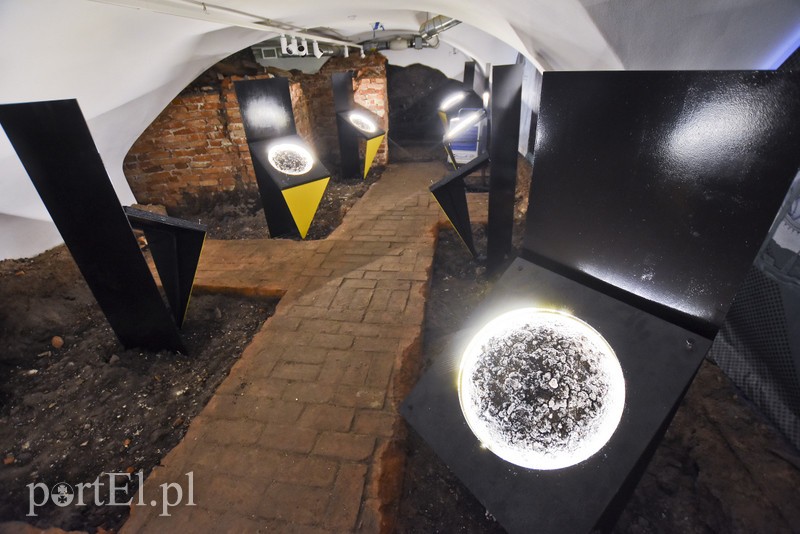 Z pokoju zagadek wprost na Żuławy zdjęcie nr 184275