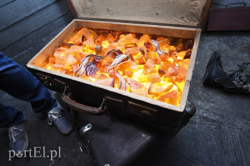 Z pokoju zagadek wprost na Żuławy zdjęcie nr 184272