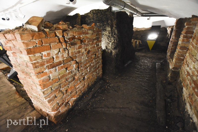 Z pokoju zagadek wprost na Żuławy zdjęcie nr 184277