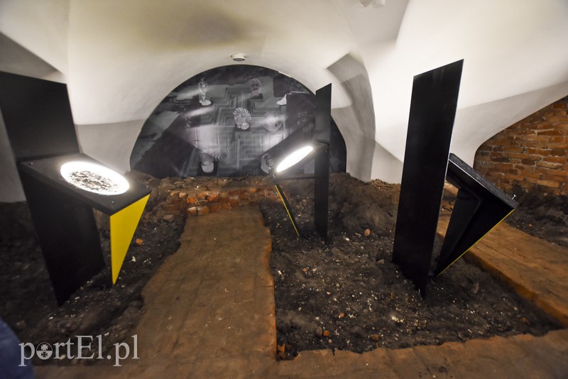 Z pokoju zagadek wprost na Żuławy zdjęcie nr 184276