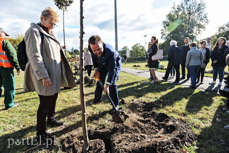 20 wiśni na dwudziestolecie PWSZ zdjęcie nr 185355