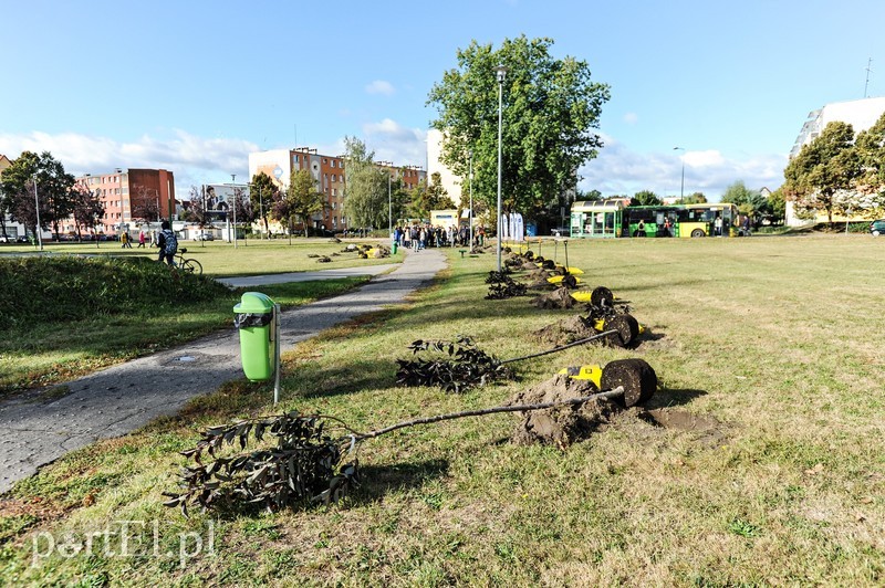 20 wiśni na dwudziestolecie PWSZ zdjęcie nr 185351