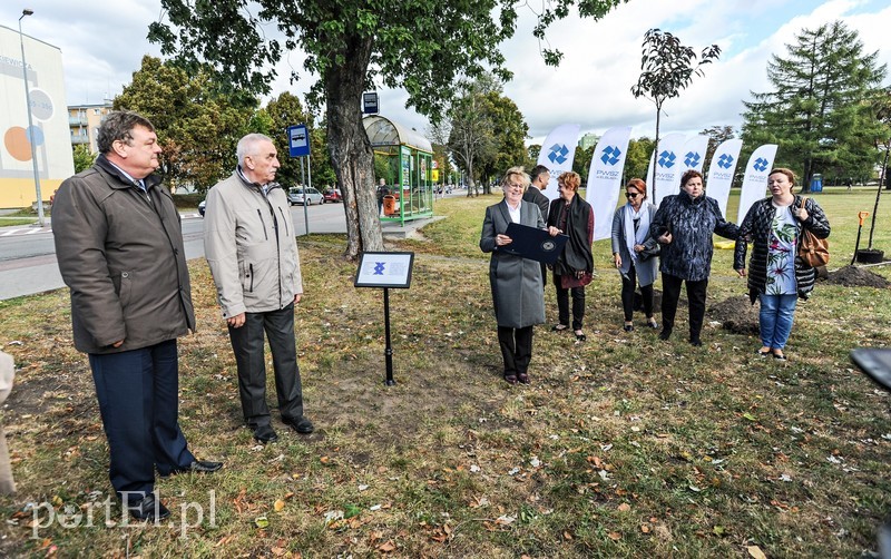 20 wiśni na dwudziestolecie PWSZ zdjęcie nr 185346