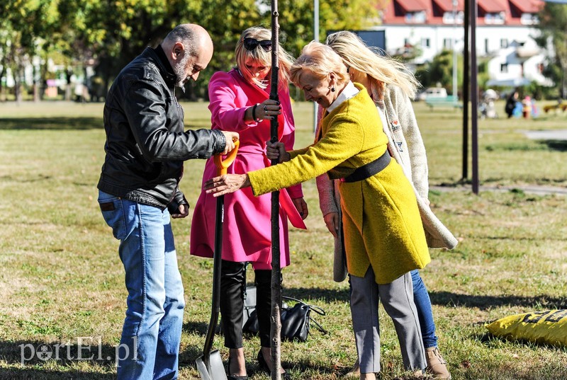 20 wiśni na dwudziestolecie PWSZ zdjęcie nr 185360