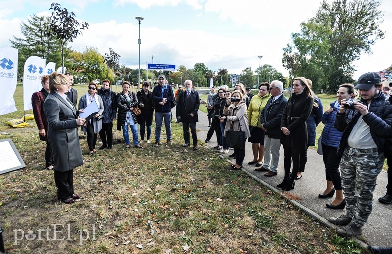 20 wiśni na dwudziestolecie PWSZ zdjęcie nr 185347