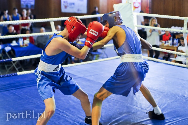 Lewy prosty w hali MOS-u zdjęcie nr 185557