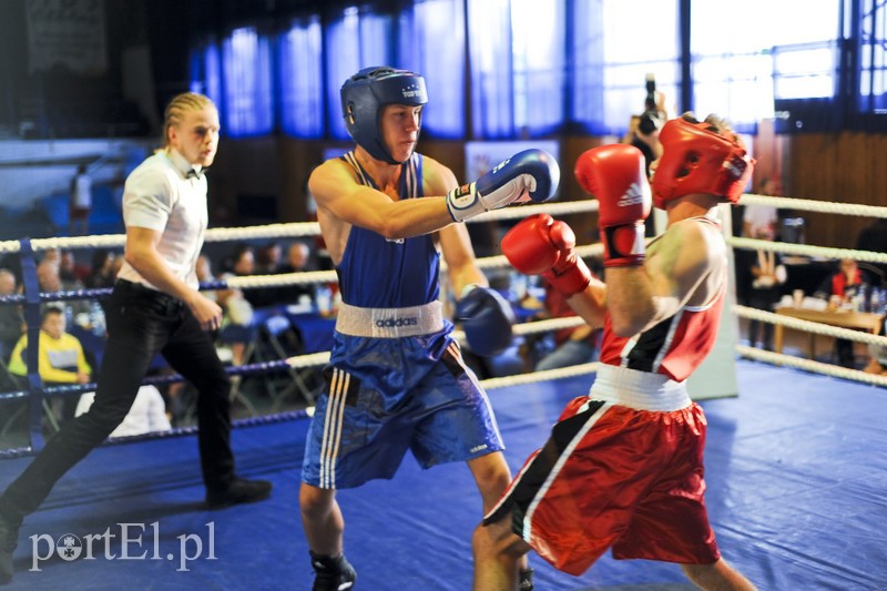 Lewy prosty w hali MOS-u zdjęcie nr 185565