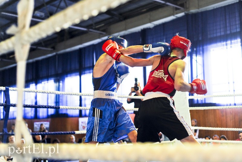 Lewy prosty w hali MOS-u zdjęcie nr 185538