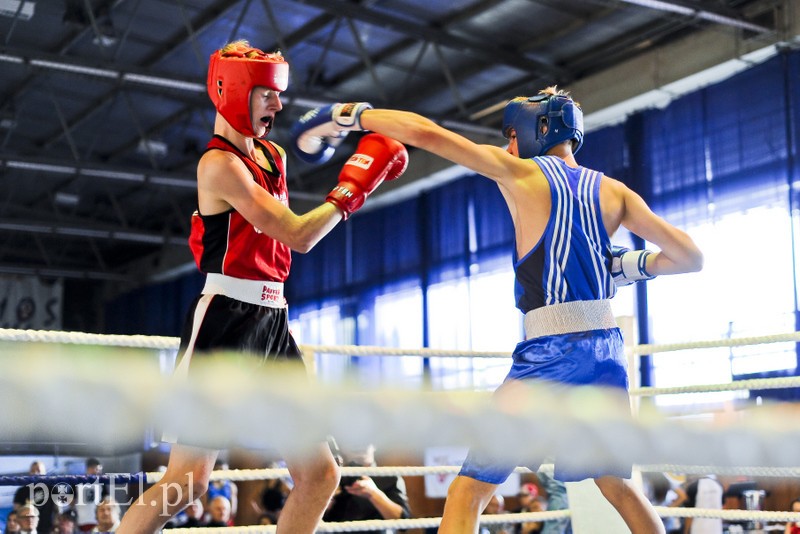 Lewy prosty w hali MOS-u zdjęcie nr 185545