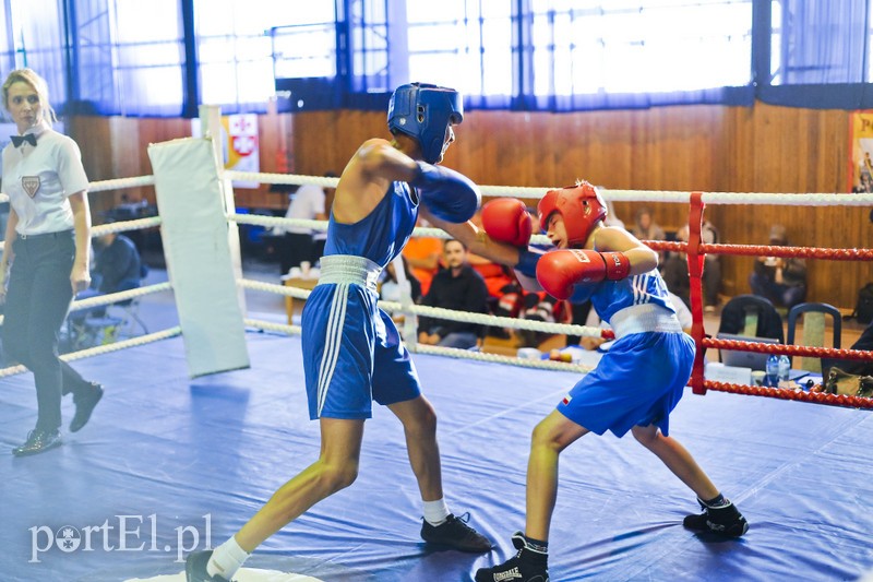 Lewy prosty w hali MOS-u zdjęcie nr 185558