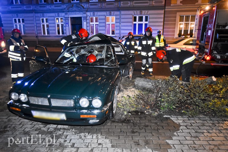 Uderzył w drzewo i jaguar stanął na boku zdjęcie nr 185858