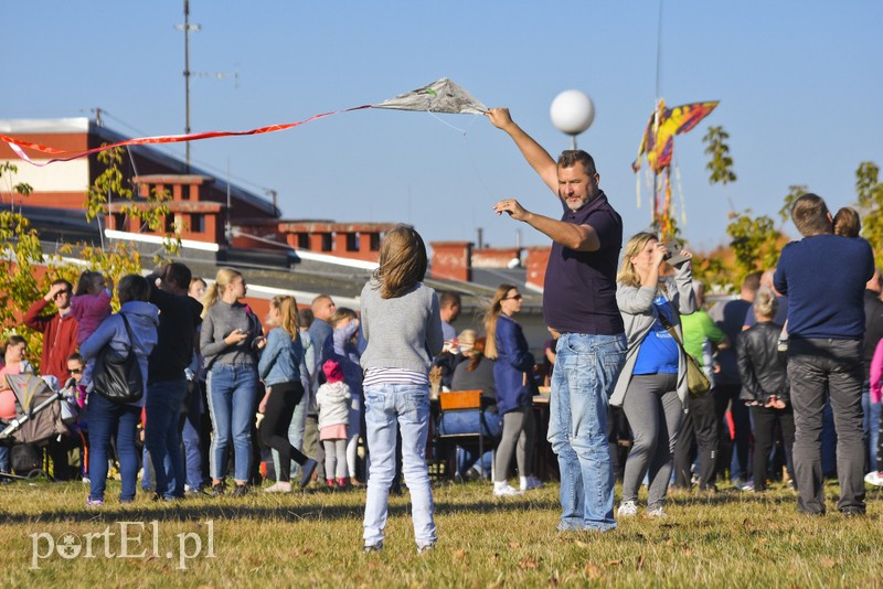 Łęcze, latawce, wiatr... zdjęcie nr 186612